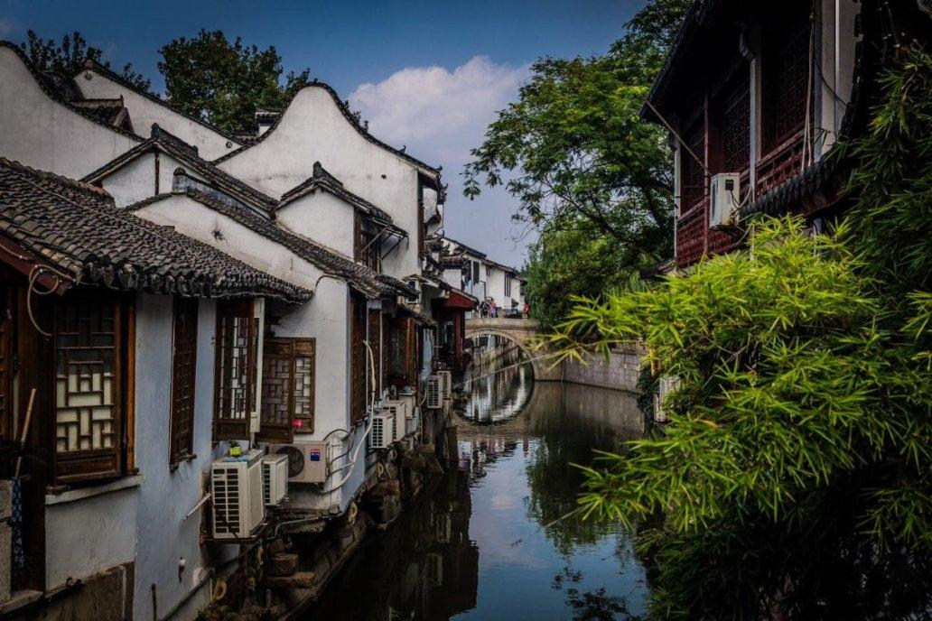 小汪汪